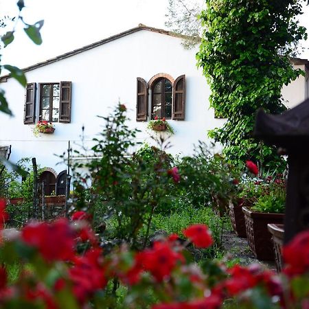 Villa Prato A Baldo Massa Marittima Exterior foto